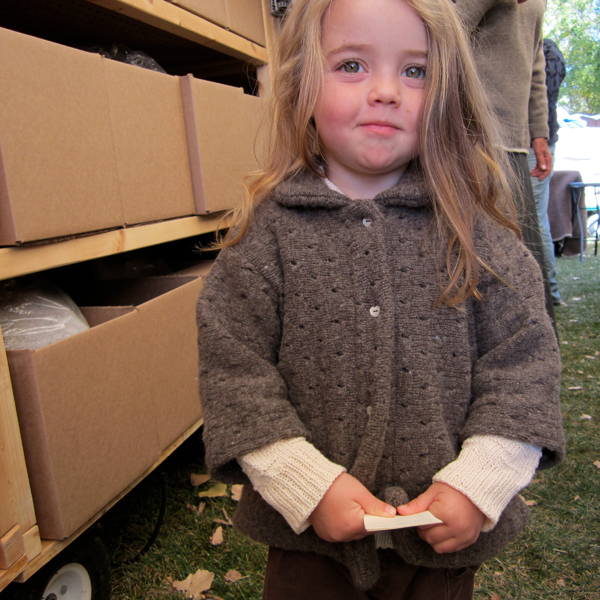 pointelle knitted coat dark gray